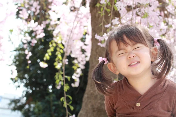 Japon kız ve kiraz çiçekleri (2 yaşında)