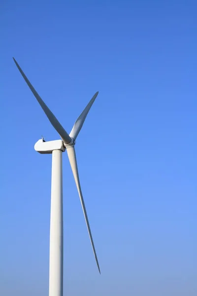 Geração de energia eólica sob o céu azul — Fotografia de Stock