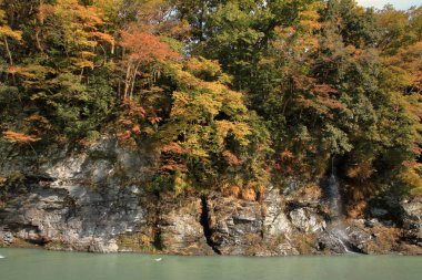 sonbahar sonbahar yaprakları ve Myojin Nagatoro, Saitama, Japonya