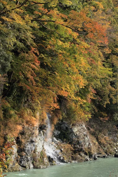 Hojas de otoño y caída de Myojin en Nagatoro, Saitama, Japón — Foto de Stock