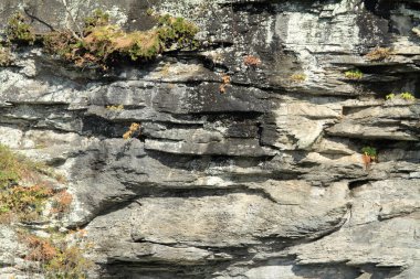 Nagatoro, Saitama, Japonya kaya oluşumu