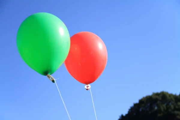 red and green balloons under the blue sky