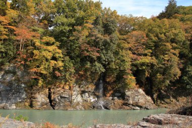sonbahar sonbahar yaprakları ve Myojin Nagatoro, Saitama, Japonya