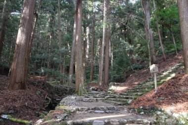 giriş yolu Kozan Tapınağı, Kyoto, Japonya