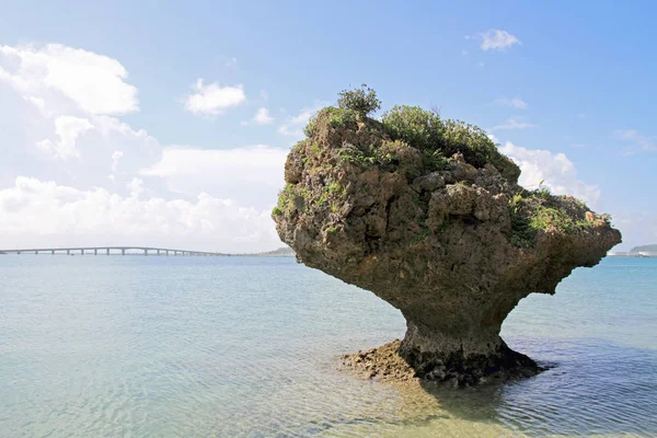 Grab der amamichu und hamahiga-brücke in okinawa, japan — Stockfoto