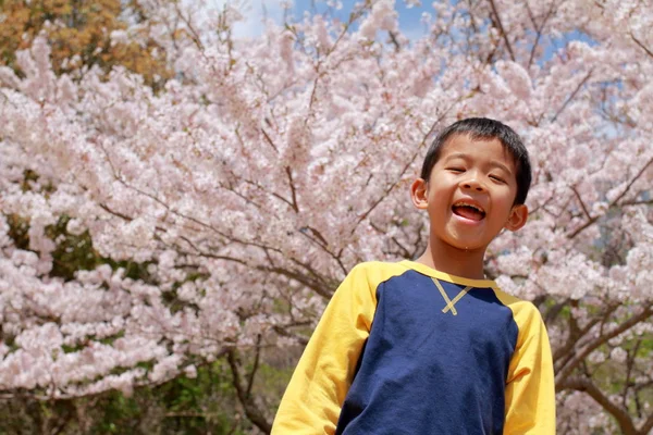 Chico japonés y flores de cerezo (tercer grado en la escuela primaria ) — Foto de Stock