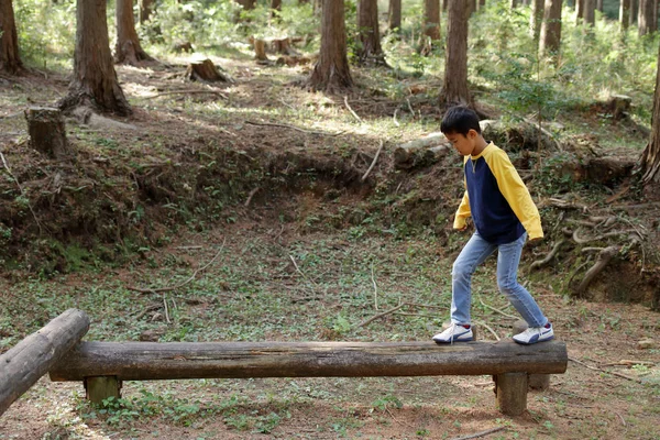 Chico japonés en la viga de equilibrio (tercer grado en la escuela primaria ) —  Fotos de Stock