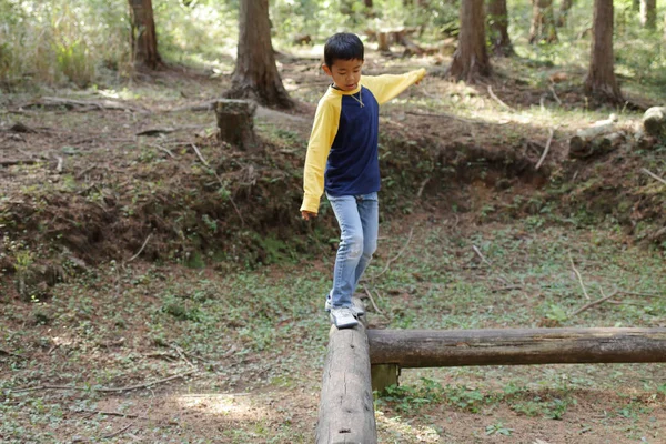 日本男児のバランスにビーム (小学校 3 年生) — ストック写真