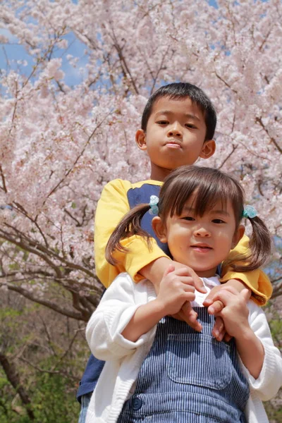 Ve Japon erkek kardeşim kiraz çiçekleri (8 yaşında çocuk ve 3 yıl yaşlı kız ile) — Stok fotoğraf