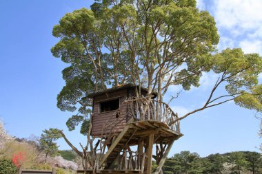 ağaç evi Higashi Izu, Shizuoka, Japonya