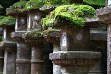 Kasugataisha Tapınak, Nara, Japonya, moss ile taş fener