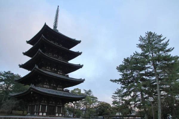 Fünfstöckige Pagode des Kohfuku-Tempels in Nara, Japan (Abendszene)) — Stockfoto