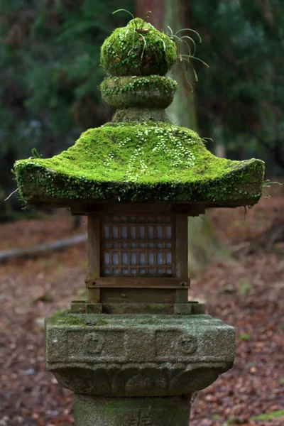 Sten lykta med mossa på Kasugataisha altare, Nara, Japan — Stockfoto