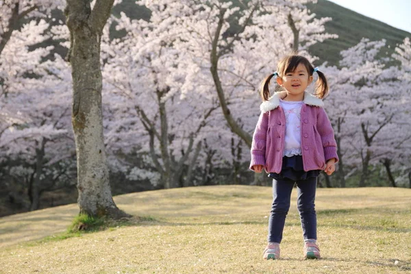 Niña japonesa y flores de cerezo (3 años) ) — Foto de Stock