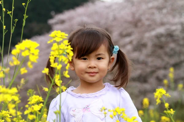 Ιαπωνικά κορίτσι και πεδίο μουστάρδα (3 ετών) — Φωτογραφία Αρχείου