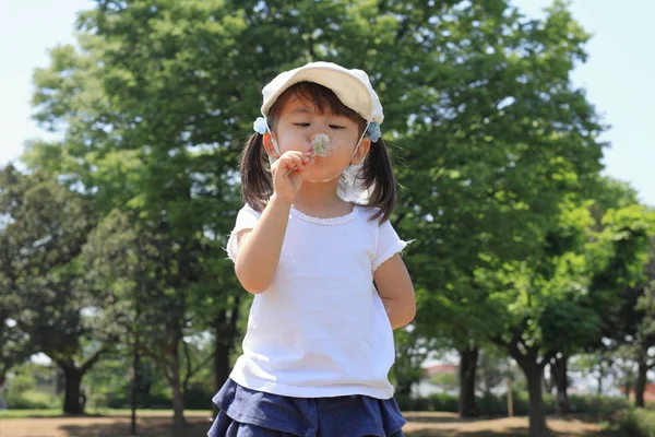 Japansk flicka blåser maskros frön under blå himmel (3 år gammal) — Stockfoto