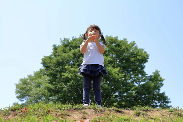 日本の女の子 (3 歳のブルーの空の下でタンポポの種を吹く) — ストック写真