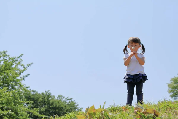 Menina japonesa soprando sementes de dente de leão sob o céu azul (3 anos de idade ) — Fotografia de Stock