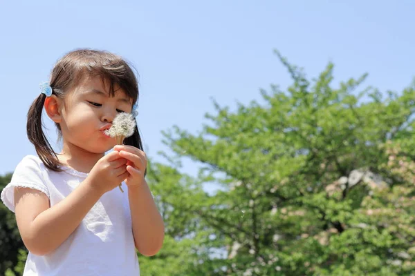 Japon kız mavi gökyüzü altında (3 yaşında karahindiba tohum üfleme) — Stok fotoğraf
