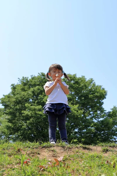 Японская девочка, раздувающая семена одуванчиков под голубым небом (3 года) ) — стоковое фото
