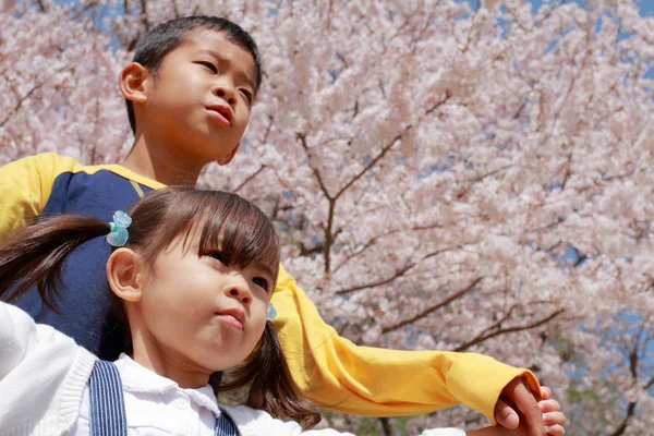 Japonais frère et soeur avec des fleurs de cerisier (8 ans garçon et 3 ans fille ) — Photo