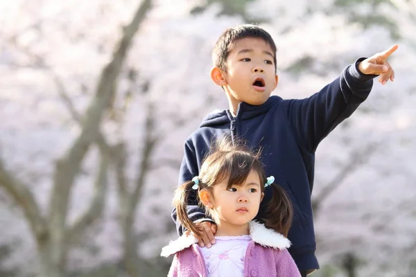 Hermano y hermana japonesa con flores de cerezo (niño de 8 años y niña de 3 años) ) —  Fotos de Stock