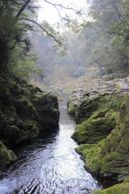 Takachiho 'daki Iwato Nehri, Miyazaki, Japonya