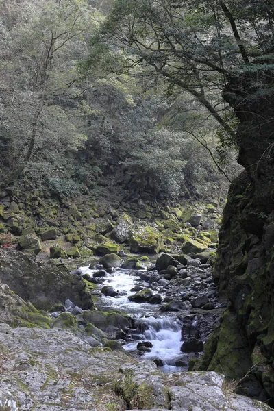 Río Iwato en Takachiho, Miyazaki, Japón — Foto de Stock