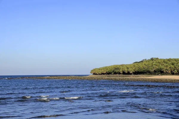 Oger-Waschbrett in Aoshima, Miyazaki, Japan — Stockfoto