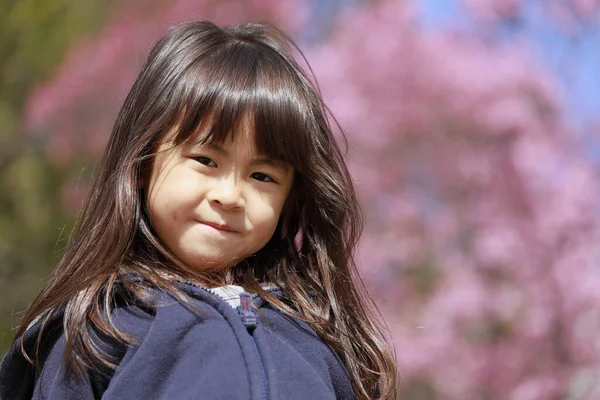 Japanisches Mädchen Und Kirschblüten Jahre Alt — Stockfoto