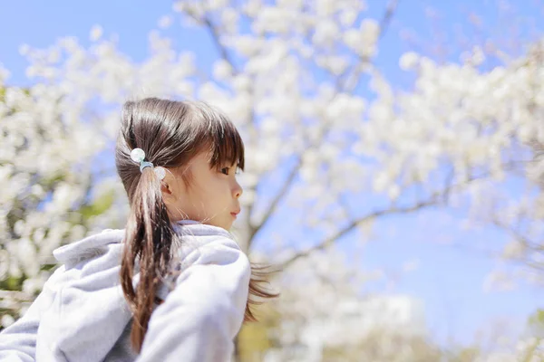 日本女孩和樱花 — 图库照片