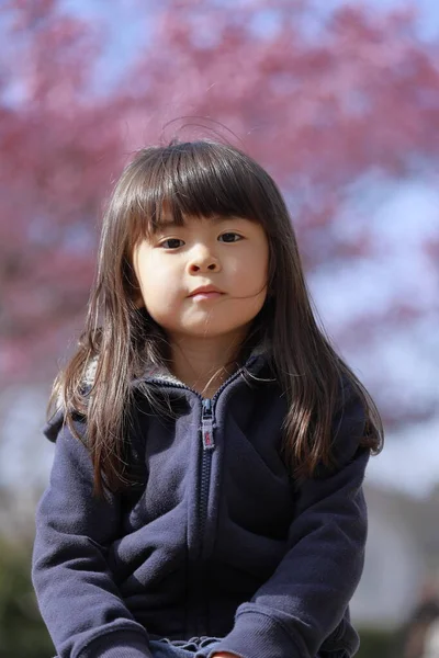 Menina Japonesa Flores Cereja Anos — Fotografia de Stock