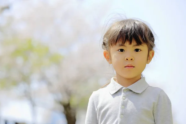 Japanska Flicka Och Körsbär Blommor Gammal — Stockfoto