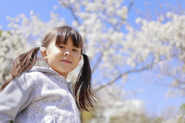 Menina Japonesa Flores Cereja Anos — Fotografia de Stock