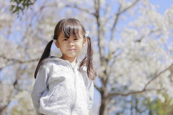 Японська Дівчинка Вишневий Цвіт Років — стокове фото