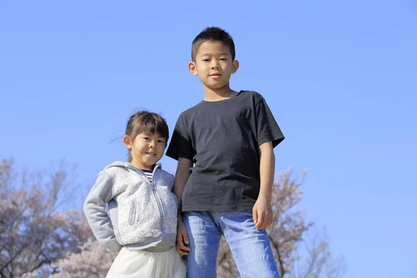 Japanische Geschwister Und Kirschblüten Jähriger Junge Und Jähriges Mädchen — Stockfoto