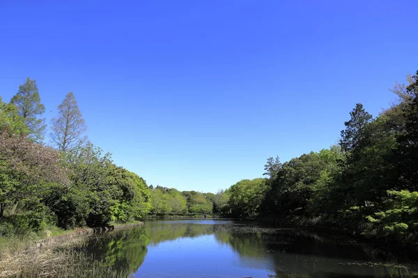 Parque Mitsuike Yokohama Kanagawa Japón — Foto de Stock