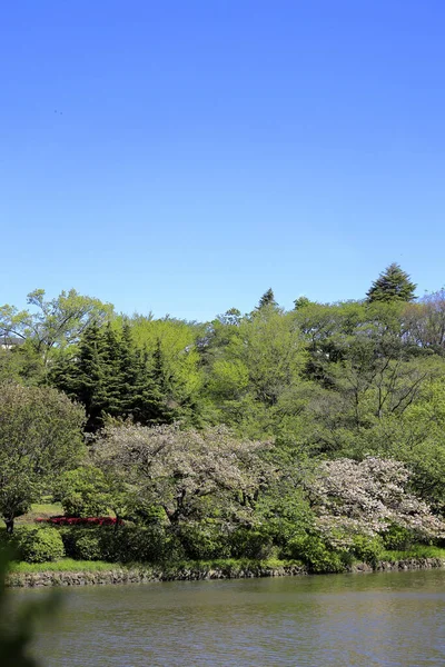 Парк Мітсуїке Йокогамі Канаґава Японія — стокове фото