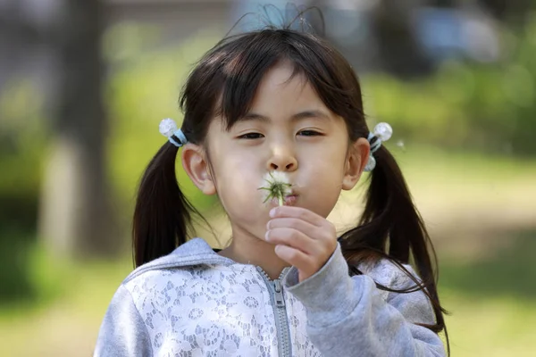 Japon Kız Karahindiba Tohumu Üflüyor Yaşında — Stok fotoğraf