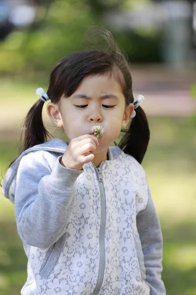 Japon kız karahindiba tohumu üflüyor (5 yaşında))