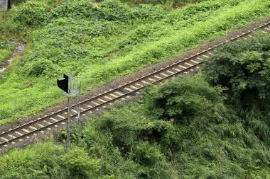 Japonya 'da tek parça