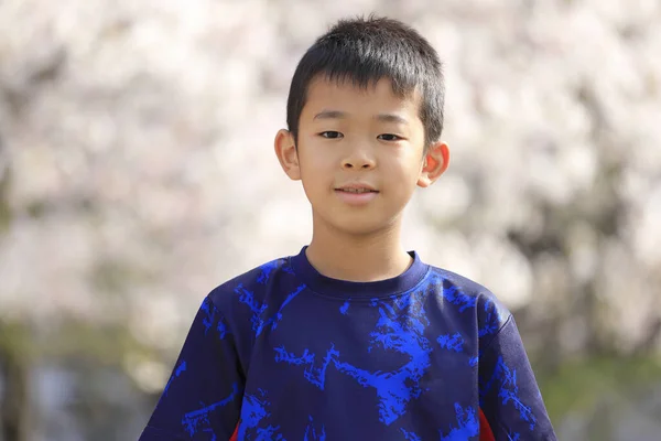 Menino Japonês Flores Cereja Quarta Série Escola Primária — Fotografia de Stock