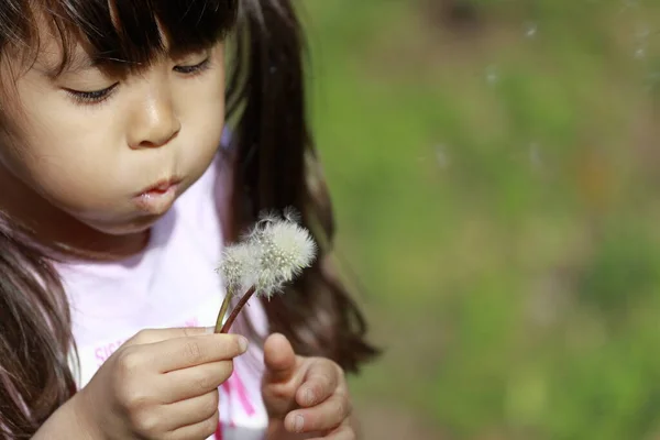 Japon Kız Karahindiba Tohumu Üflüyor Yaşında — Stok fotoğraf