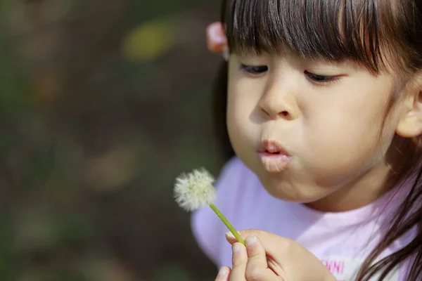 Japon Kız Karahindiba Tohumu Üflüyor Yaşında — Stok fotoğraf