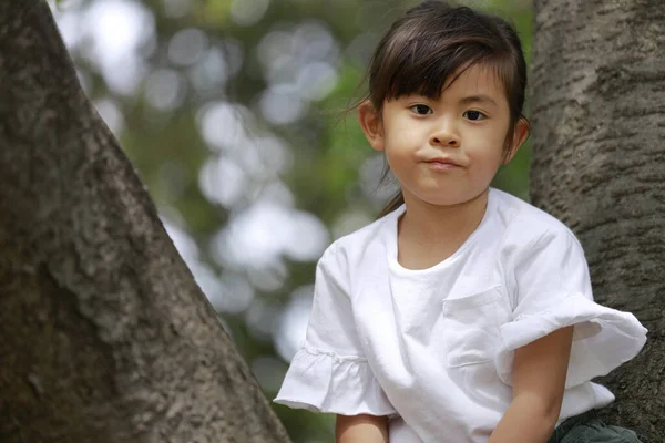 Niña Japonesa Trepando Árbol Años — Foto de Stock