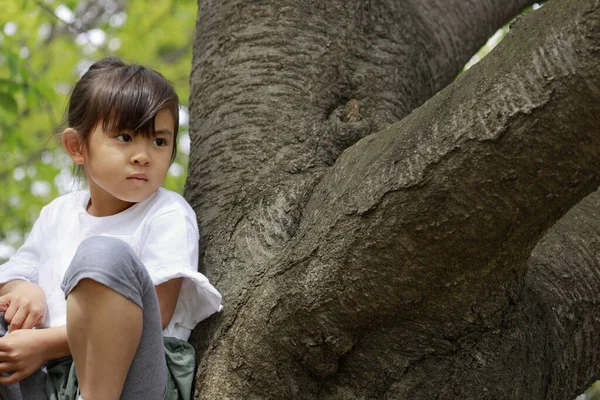 Japanisches Mädchen Jahre Klettert Auf Baum — Stockfoto