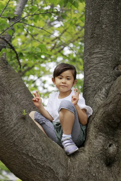 Menina Japonesa Escalando Árvore Anos Idade — Fotografia de Stock