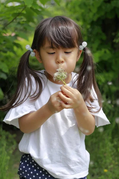 Japon Kız Karahindiba Tohumu Üflüyor Yaşında — Stok fotoğraf