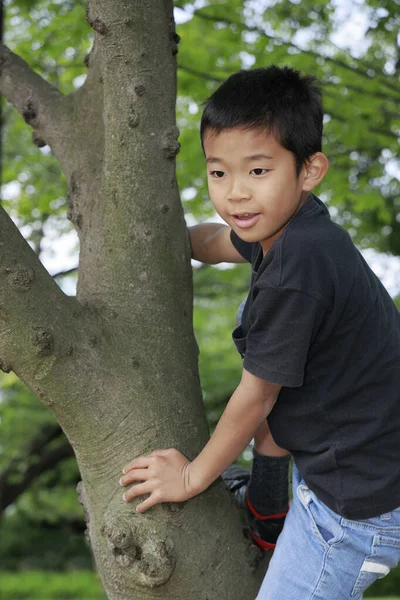 Japonês Menino Escalando Árvore Quinto Ano Escola Primária — Fotografia de Stock