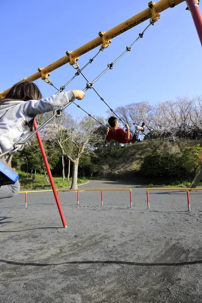 Japanisches Geschwisterpaar Auf Der Schaukel Jähriger Junge Und Jähriges Mädchen — Stockfoto